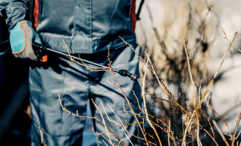 Pragas de Inverno: se proteja contra elas